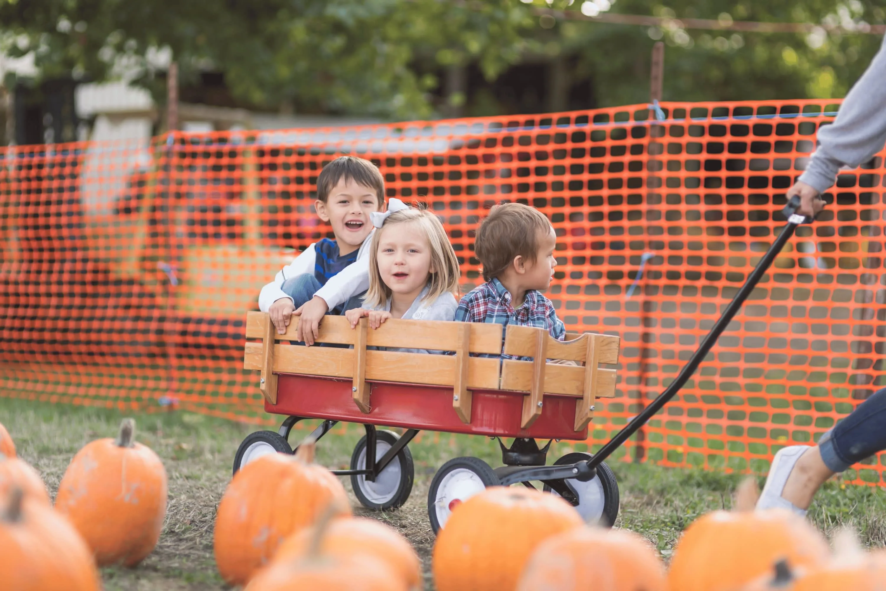 Children riding in a wagon through the pumpkin patch.