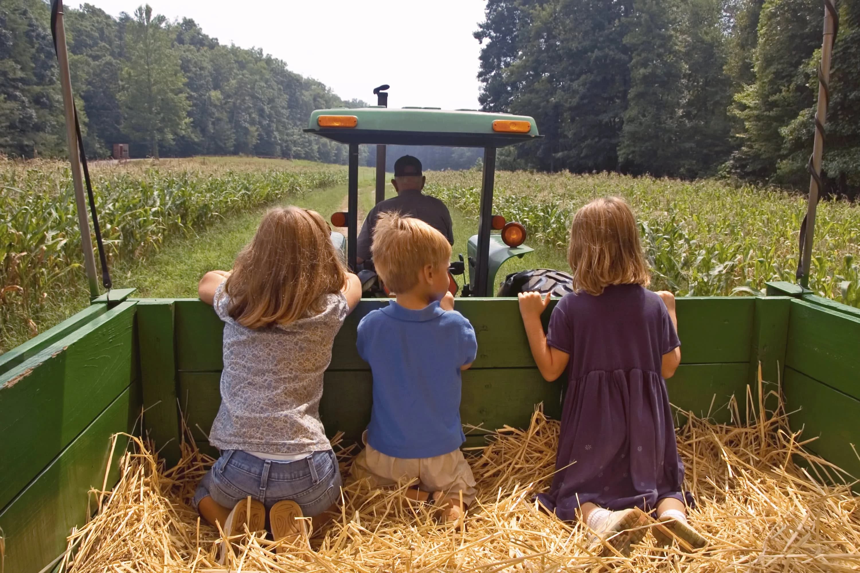 Children riding behind a tractor on a farm hayride.