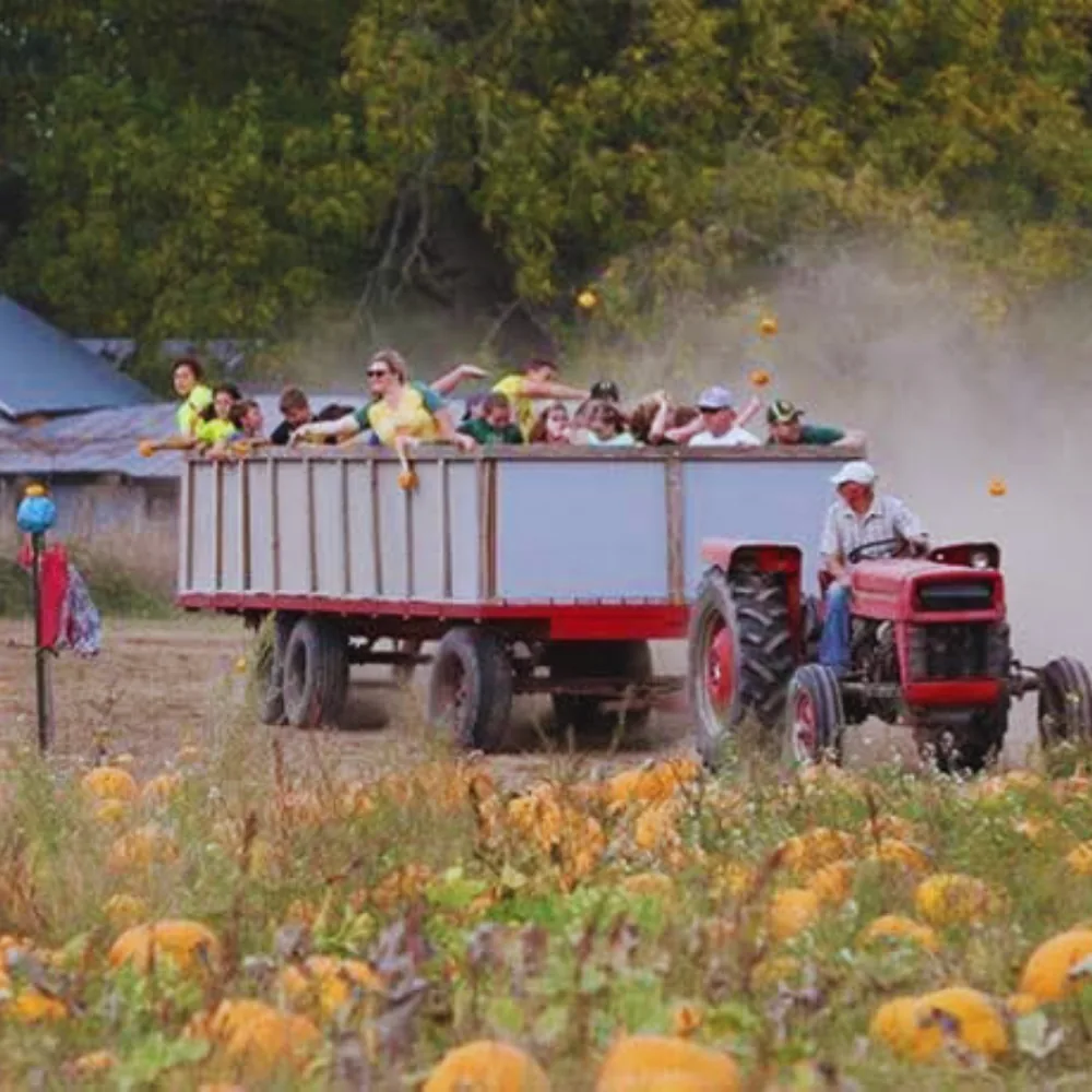 A tractor pulls the Pumpkin Toss Hayride through the farm.
