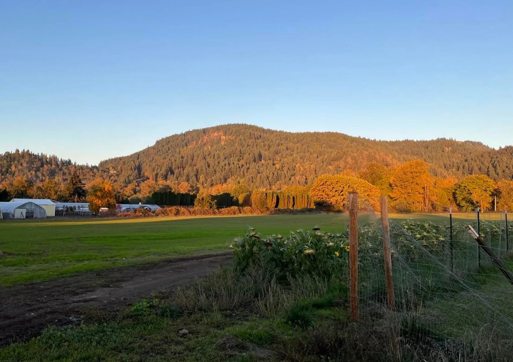 Farm fields and trees beneath the hills at golden hour.