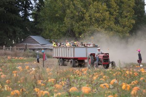 Walt's wild wagon ride in Eugene, Oregon